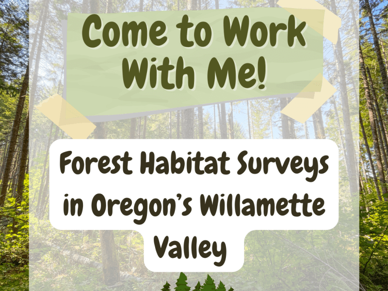 NEW SERIES: Come to Work With Me! Forest Habitat Surveys in Oregon’s Willamette&nbsp;Valley