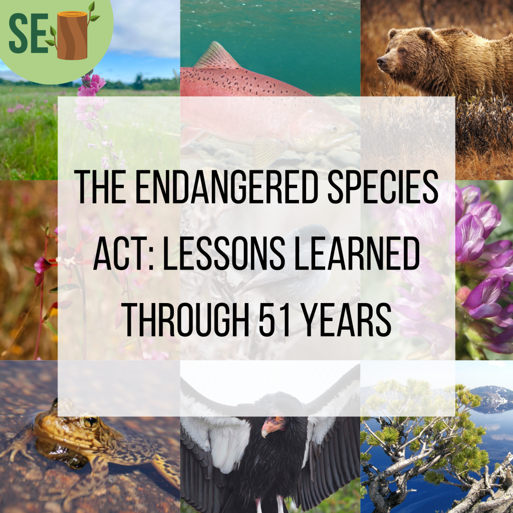 Podcast Episode: The Endangered Species Act in Less Than 20&nbsp;Minutes
