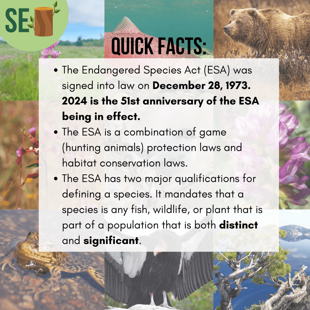 Slide 2/10. This slide lists quick facts about the ESA, which are that 1) it was signed into law on December 28th, 1973 and that 2024 is the 51st anniversary; 2) it is a combination of both game protection and habitat conservation laws; 3) it has two major qualifications for a species to be listed, and those qualifications are that the species must be both distinct and significant.